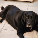 William Breese - @breese_william - Instagram