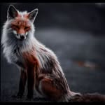 William Bremer - @williambremer16 - Instagram