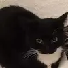 williambremer52 - @william.bremer0 - TikTok
