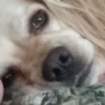 William Breunig - @breunigwilliam - Instagram