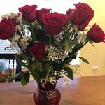 William Brilliant - @williambrilliant331 - Instagram