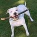 Billy Broadfoot - Facebook