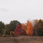 William Bromley - @william.bromley.35977 - Instagram