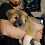 William Bromley - @heliostheakita - Instagram