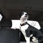William Brookings - @brookingswilliam - Instagram