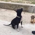 William Brossard - @williambrossard - Instagram