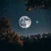 William Brown - @william.brown8087 - TikTok