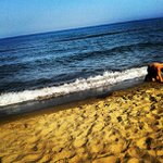 William Brownell - @spoonteenguy - Instagram
