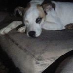 william brownlie - @alan18955297 - Instagram