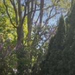 William Brownlie - @wbrownlie0 - Instagram