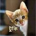William Bruss - Facebook