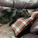 William Bryan - Facebook