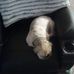 William Buckmaster - Facebook