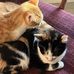 William Buckmaster - Facebook