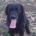 William Buckham - Facebook