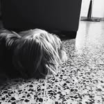 William Lemus Bula - @lemusbula - Instagram