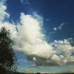 Adventures🏕 - @william_bullard_ - Instagram