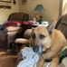 William Bumbaugh - Facebook