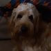 William Buening - Facebook
