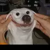 burgandinewilliam - @burgandinewilliam - TikTok
