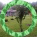 William Burney - Facebook