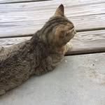 William Burrows - @wburrows1965 - Instagram