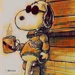 Bill Bushey - @williambushey7723 - Instagram