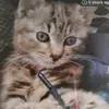 Liam Cairns - @liam.cairns74 - TikTok