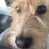 William  - @william.cairns - TikTok