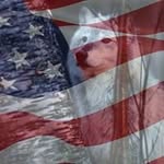 William Callison - @william.callison.374 - Instagram