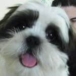 William Candelaria - @puppydragon9 - Instagram