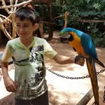 William Canevese - @canevesewilliam - Instagram