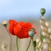 Mukesh_Srivastava - @william.carman - TikTok