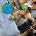 William Corriveau - Facebook