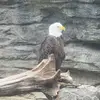 William Carson - @william.carson19 - TikTok