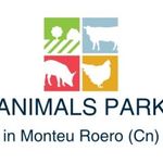 WILLIAM CARUSO - @animalsparkmonteuroero - Instagram