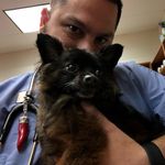 William Caruso - @inkedvettech - Instagram