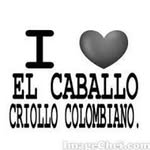 William Castaño Saavedra - @williamcastanosaavedra - Instagram
