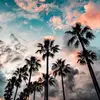 William Catalano - @william_catalano - TikTok