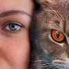 Кошкина Мать | Cat’s Mother - @william_catt - TikTok