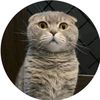 user36846847157 - @william_catt2 - TikTok