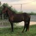 William Chacon - Facebook