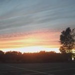William Chalmers - @chalmerswilliam - Instagram
