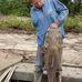 William Chamness - Facebook