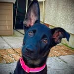 Dean William Charman - @deano1256 - Instagram