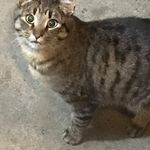 William Lavallée Chartier - @edchwbe3378 - Instagram