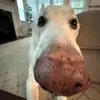 Liam Chatelain - @liam.chatelain - TikTok