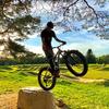 William Check - @willcheck - TikTok