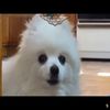 williamchecke  - @williamchecke2007 - TikTok