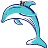 Official William C Jack Cheer - @williamcjack_cherleaders - TikTok